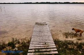 Agroturystyka Gaładuś - Maria Dabulis Dusznica 1 - Image 3