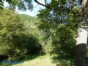Romantic yurt in Apuseni mountains - Image 3