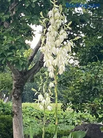 悠の宿 - Image 1