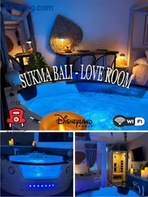 SukmaBali Balneo-Sauna-Love room, Meaux, 15mn Disneyland - Image 1