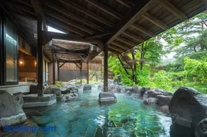 Ooedo Onsen Monogatari Premium Matsunoi - Image 2