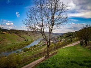 Weinhaus Burg-Schneider - Image 4
