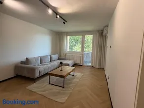 Moderno stanovanje - Ptuj - Image 2