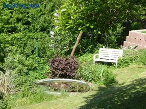 Ferienwohnungen Dora - Image 3