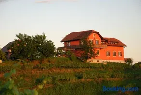 Hisa Vina - Image 3