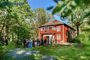 UKI Puhkeküla - Image 2