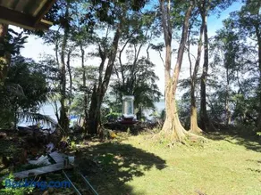 Gayadelphie jungle and sea house - Image 5