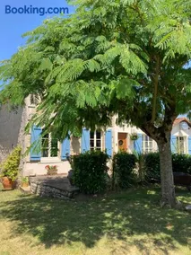 Silk Tree - Image 2