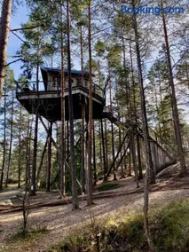 Tretopphytter På Grensen - Elghytta med robåt og gjeddefiske - Image 4