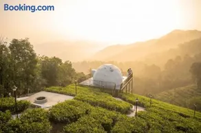 Willostays Luxury Glamping vagamon - Image 1