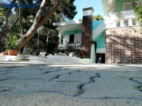 Florida - Image 1