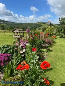 Westerley Country B & B with exclusive Guest lounge - Image 2