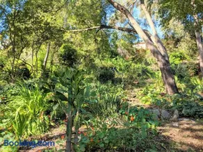 Hillmont paradise - Image 5