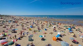 Bulbs & Beach - Image 2