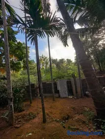Hindlekar home stay - Image 2