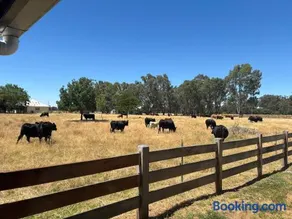 Byrne Cottage, Moyhu - Image 4