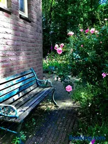 Blauwe Lelie - Image 3