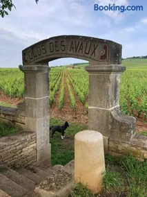la route des vins - Image 2