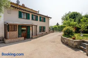 L'olivo - Image 1