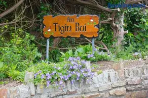 An Tigín Buí - Image 3