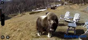 Koselig hytte med uthus på vakre Dovrefjell - Image 2
