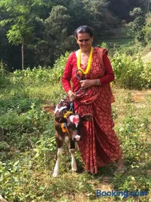 Ghattetar farm stay - Image 3