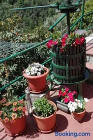 Casa Ofelia - Image 3