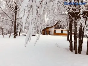 Good House - Image 2