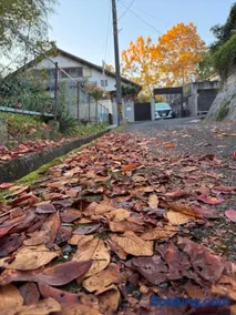 GREEN ViLLA南大阪 - Image 1