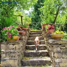 I Tre Tigli - Casa di campagna - Image 1
