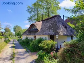 Unser Froschhaus - Image 3