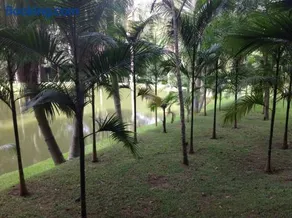 Linda chácara em Ibiuna com lago e piscina - Image 2