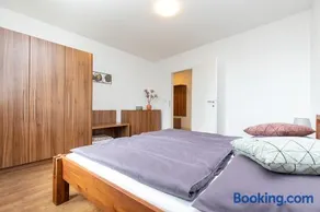Weingut-Ferienwohnung Münzenrieder - Image 3