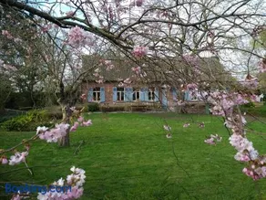 Saffels Nest 33 - Image 1
