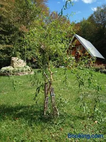 Vikendica Anastasija - Image 5