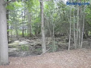 Whispering Creek at Pinebrook - Image 2