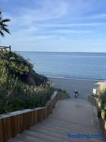 Les jardins de la mer marine de Bravone - Image 2