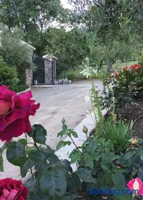 Casa Rural La Bodega - Image 2