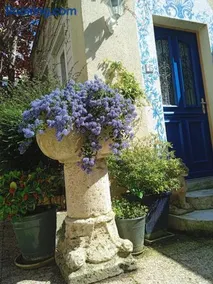 MYSaintAubin - Image 2