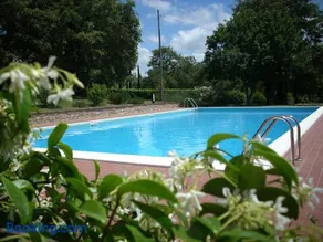 Le querce felici - Image 1