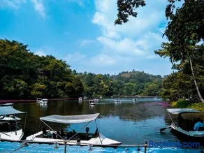 Wayanad Snow Vibes - Image 1