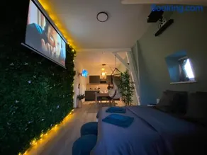 ZEN - Roubaix-Lille - Balneo - Home cinéma - Billard - Image 3