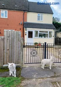 The Beehive - Self catering in the heart of the Forest of Dean - Image 2