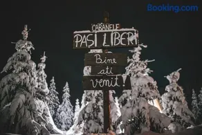 Camere de închiriat Pași Liberi - Image 2