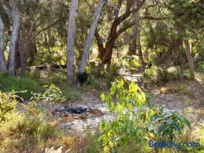 Inji Homestead - 5 acre holiday home in Margaret river region - Image 2