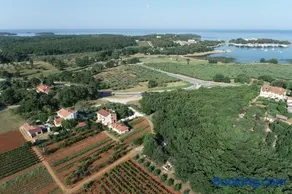 Viva Molindrio - Image 2