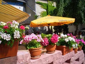 Hotel & Gasthaus Forelle - Image 3