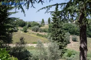 Agriturismo Terre della Rinascita - Image 2