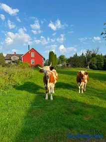 Farm Stay Between Forests and Meadows - Image 1