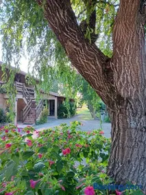 Le Moulin du Comte - Chambres d'hôtes - Image 2